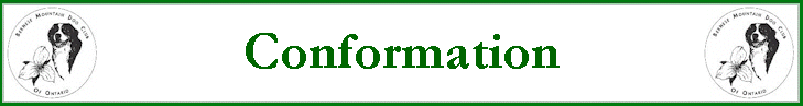 Conformation