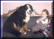 Child and Dog2.jpg (32219 bytes)